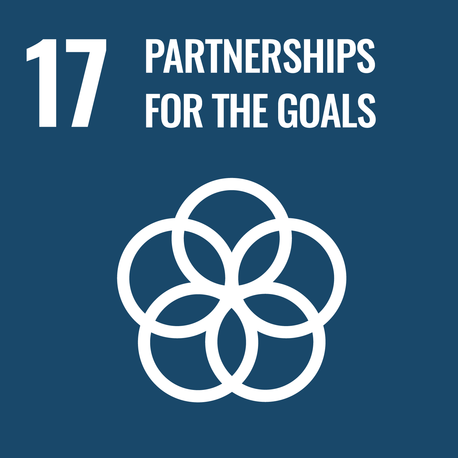 Objective 17 - Partnership to achieve objectives