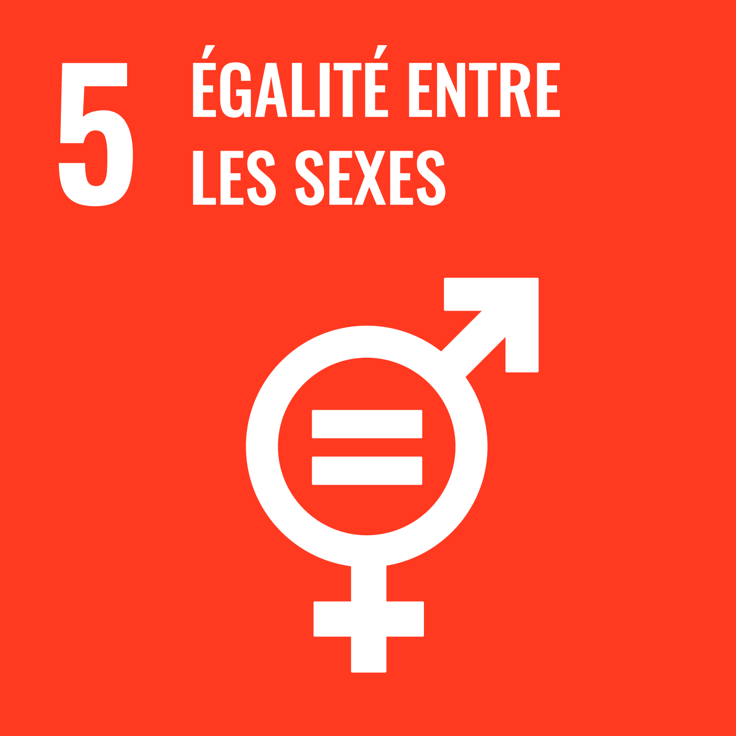 Objectif 5 - Égalité entre les sexes