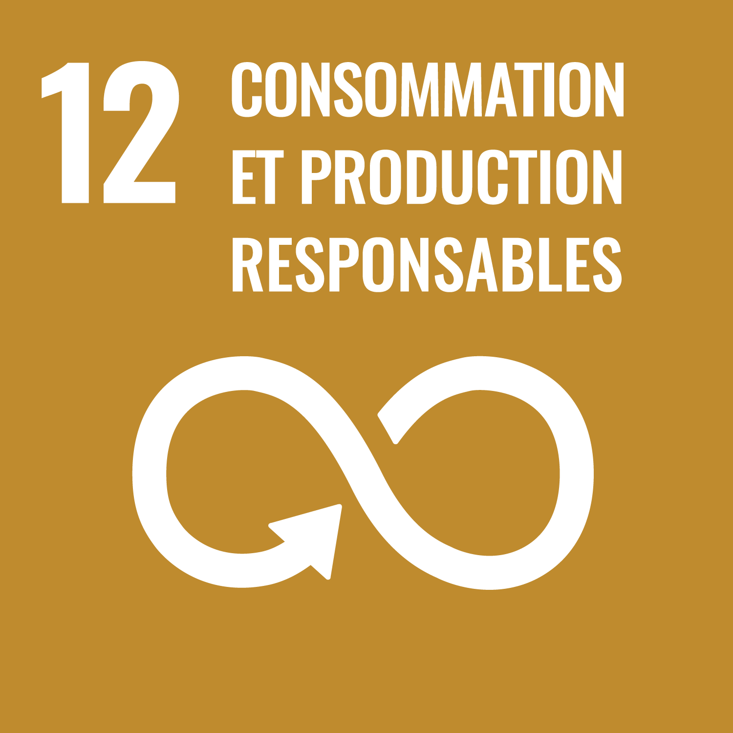 Objectif 12 - Consommation et production responsables