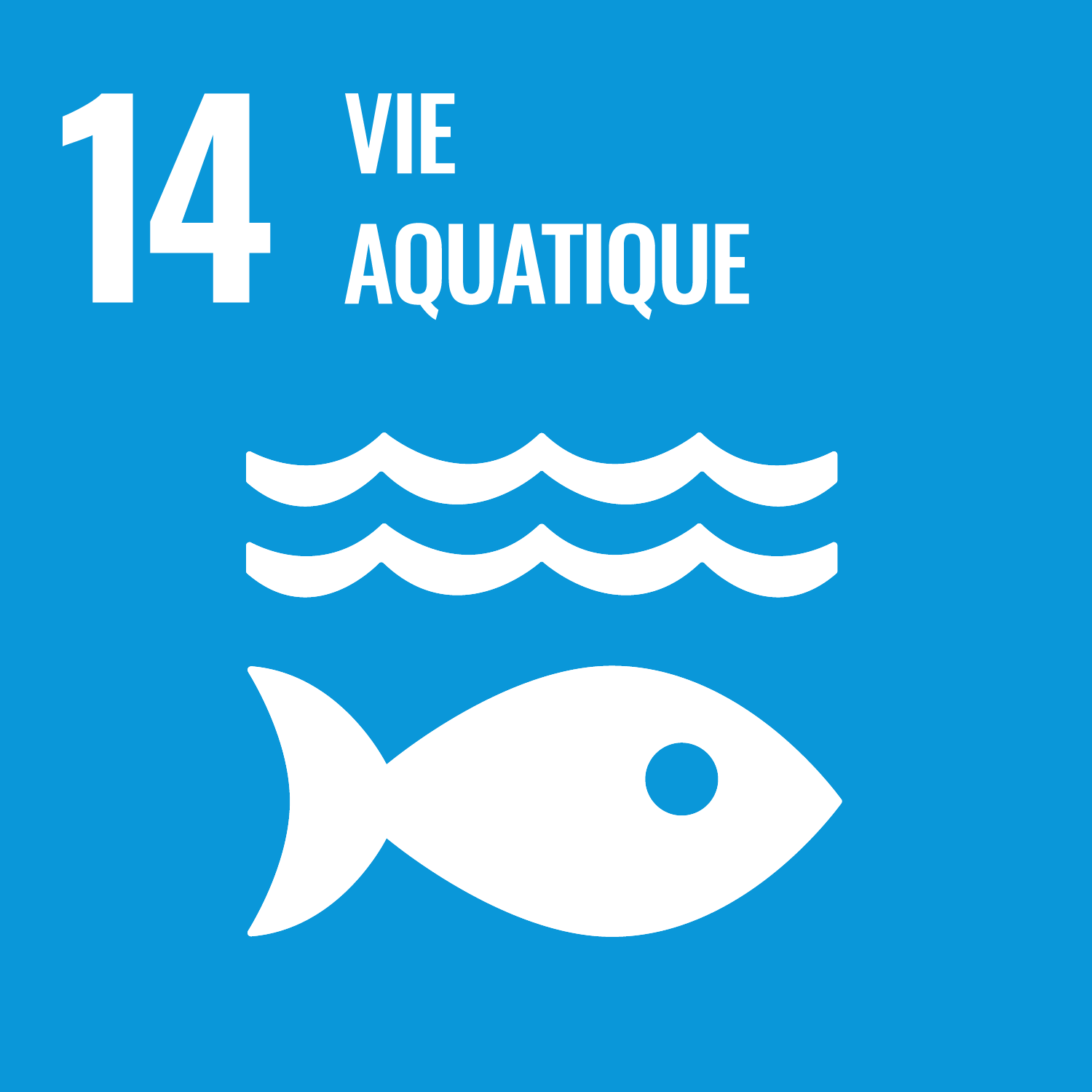 Objectif 14 - Vie aquatique