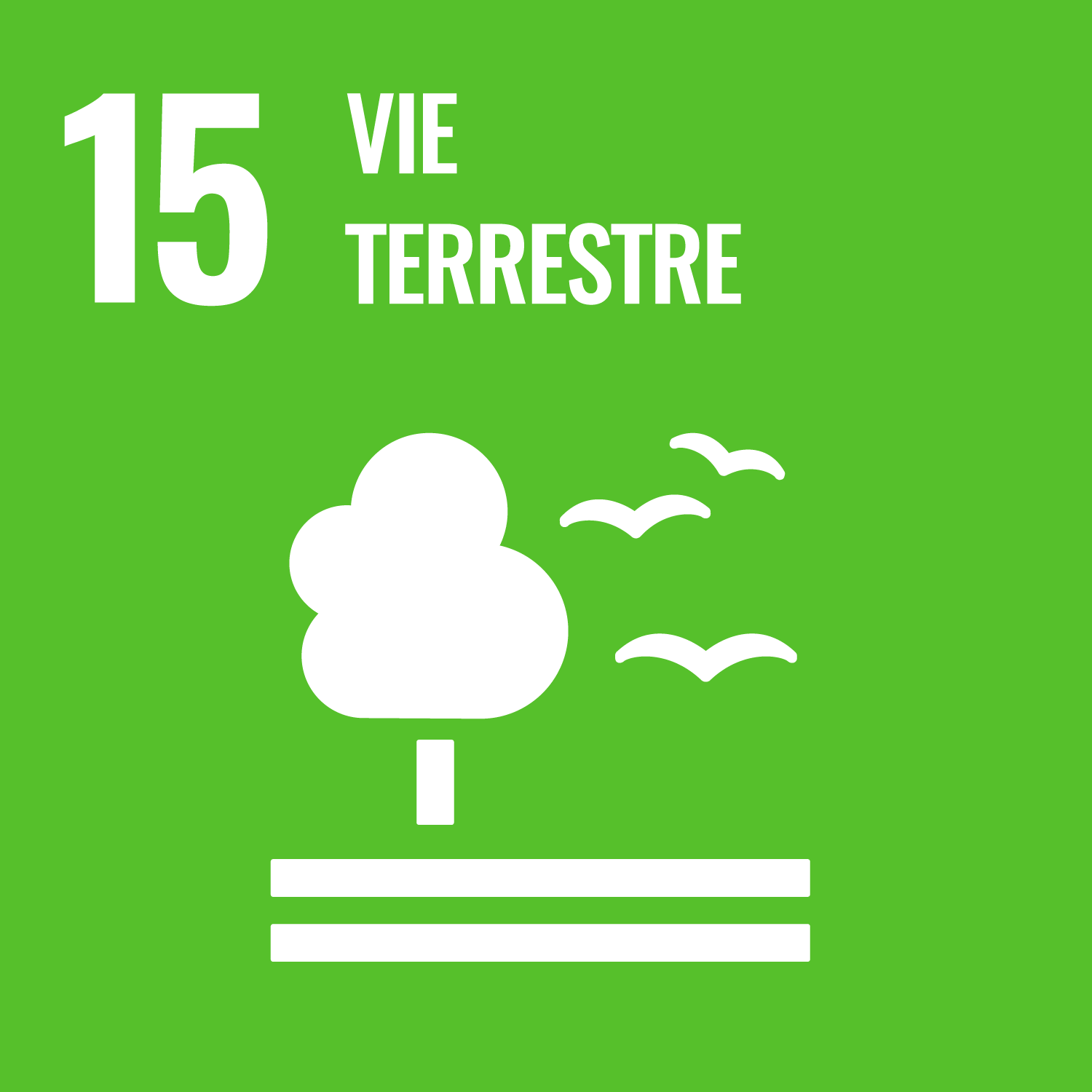 Objectif 15 - Vie terrestre