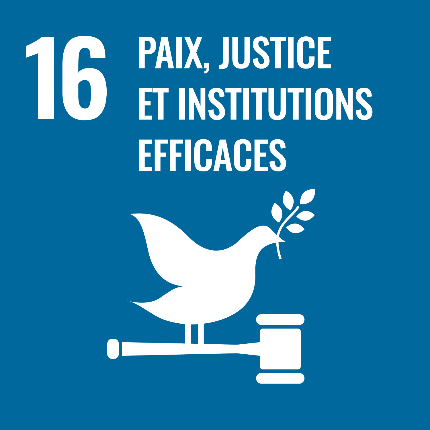 Objectif 16 - Paix, justice et services publics efficaces