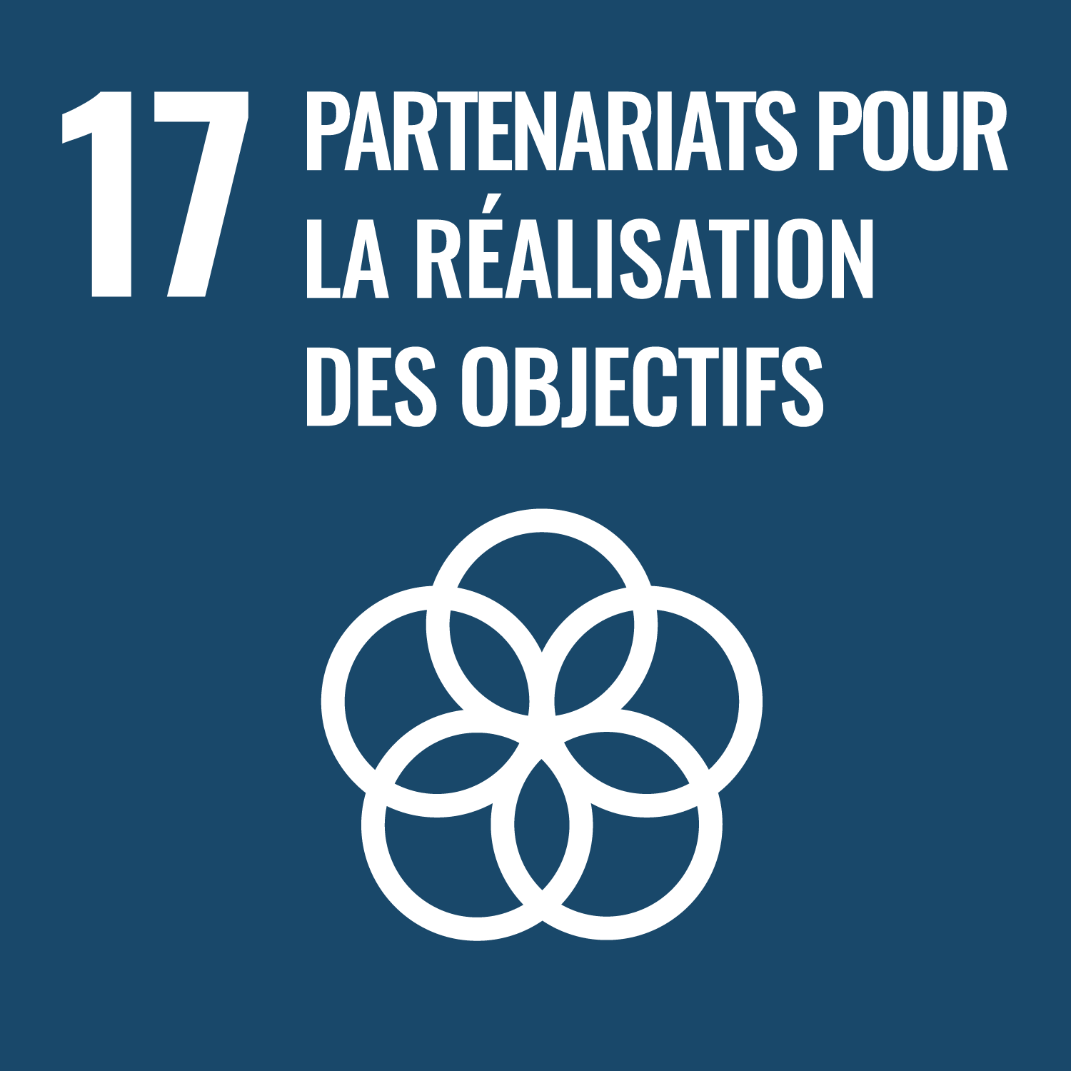 Objectif 17 - Partenariat pour atteindre les objectifs