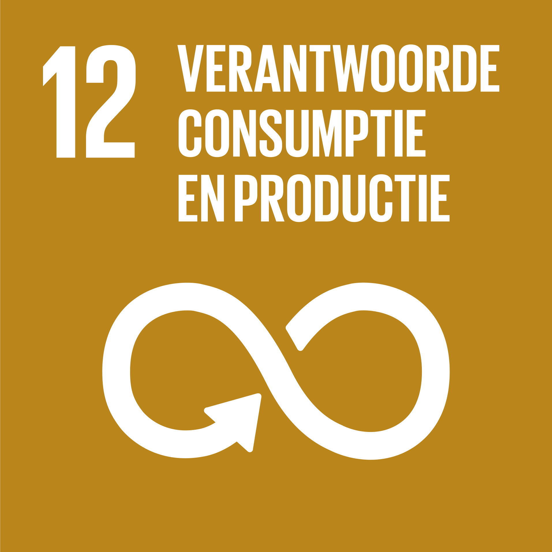 Doelstelling 12 - Verantwoorde consumptie en productie