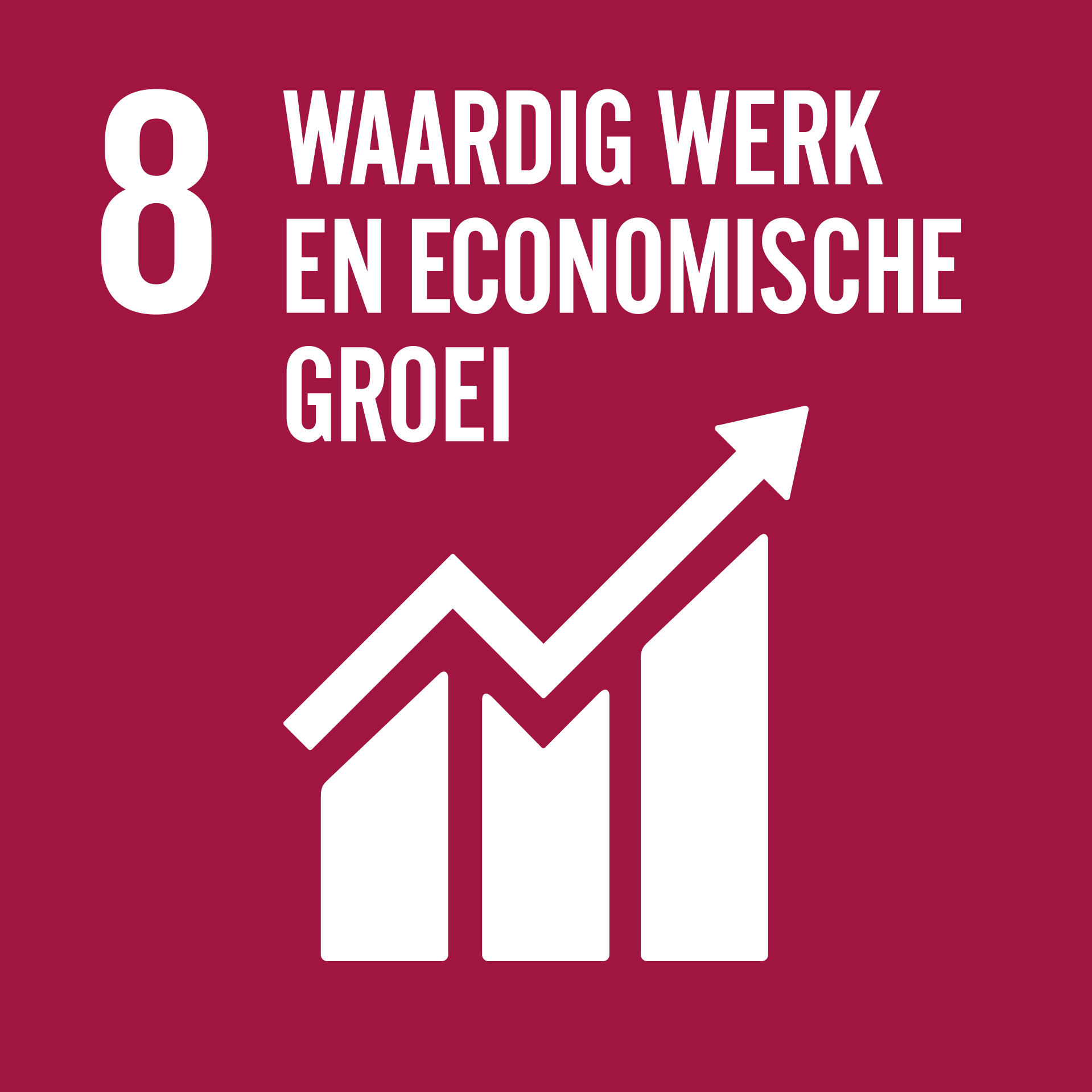 Doelstelling 8 - Waardig werk en economische groei